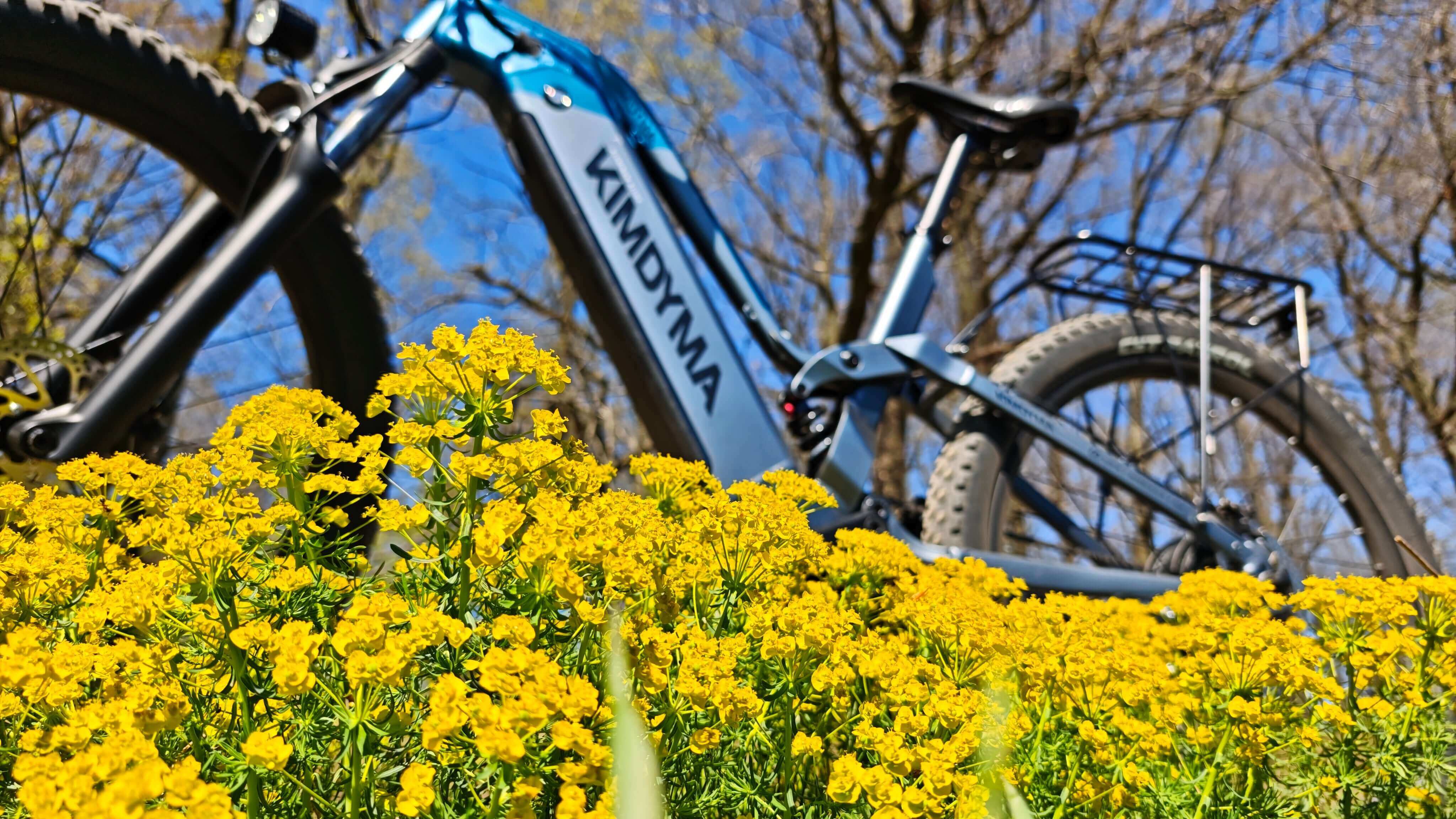 Where Can You Legally Ride Your E-MTB in Europe?
