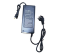 48V 4A E-Bike Battery Charger